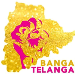 Fundraising Page: MN Bangaru Telangana Group